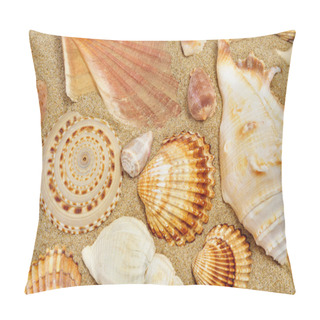 Personality  Some Seashells On The Sand Of A Beach Pillow Covers