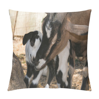 Personality  Gestures Of Affection From Mom Goat And His Son Pillow Covers