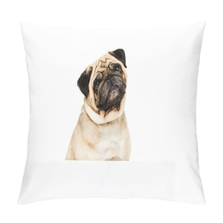 Personality  Pug Dog With Template Pillow Covers