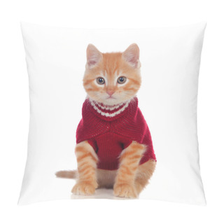 Personality  Beautiful Red-haired Kitten Wearing A Wool Sweater Pillow Covers