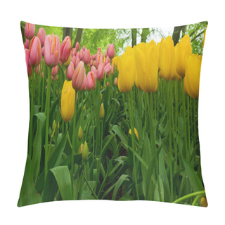 Personality  Colorful Tulips Pillow Covers