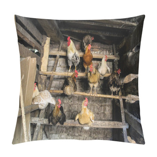 Personality  Chicken And Rooster In The Chicken Coop Agriculture /photo Of The Village Chicken Coop.in The Barn Roosts.on A Perch Sitting Hens And A Rooster.birds With Colored Feathers.get Ready For Bed.the Building Is Old. Pillow Covers