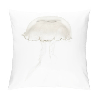 Personality  Aurelia Aurita Also Called The Common Jellyfish Against White Ba Pillow Covers