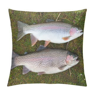 Personality  Freshly Caught Rainbow Trout. Pillow Covers