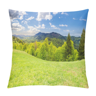 Personality  Hillside Meadow Near Forest In Mountain Pillow Covers