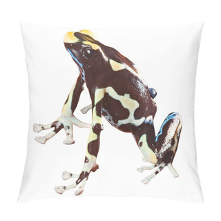 Personality  Poison Dart Frog Pillow Covers
