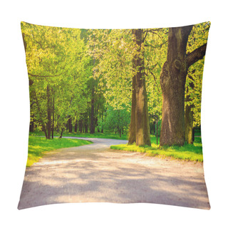 Personality  Summer Evening Sunny Park Pillow Covers