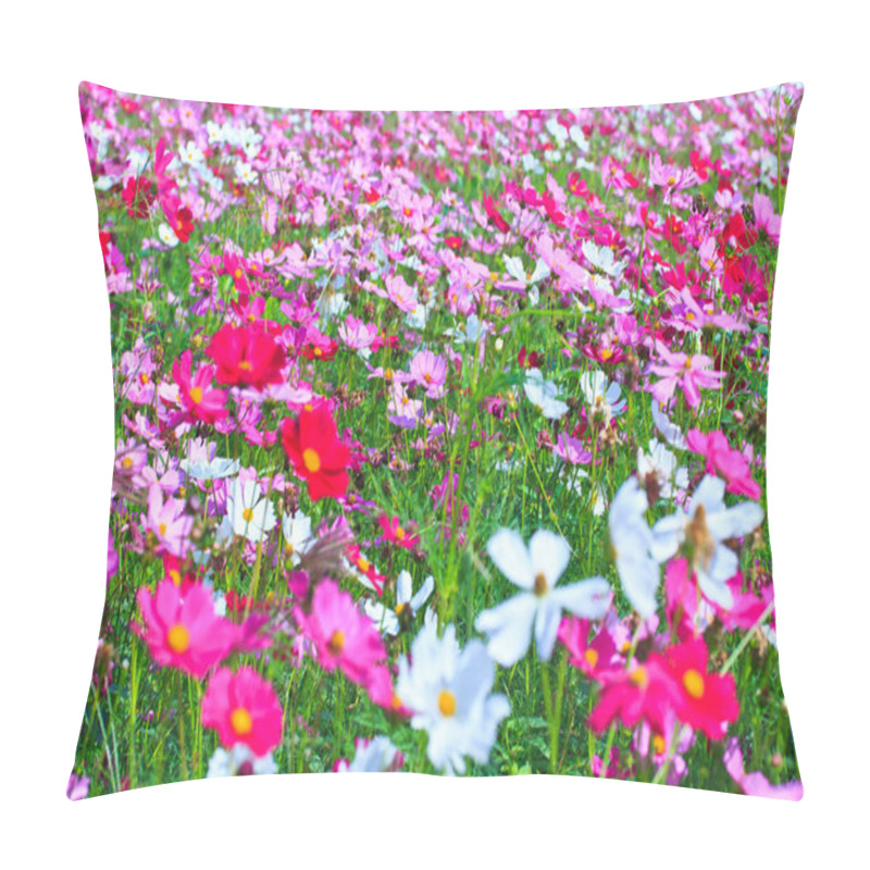 Personality  Cosmos flowers pillow covers
