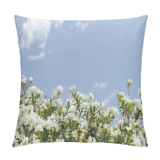 Personality  Low Angle View Of Plant With White Flowers And Blue Sky With Clouds At Background  Pillow Covers