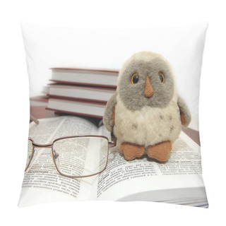 Personality  Symbol Of Wisdom And Knowled Pillow Covers