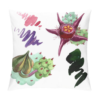Personality  Duvalia Flowers Isolated Illustration Elements. Watercolor Background Illustration. Aquarelle Hand Drawing Isolated Succulent Plants And Stains. Pillow Covers