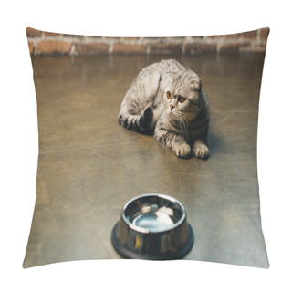 Personality  Adorable Scottish Fold Cat Lying Near Bowl On Floor Pillow Covers