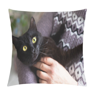 Personality  Black Cat Portrait With Yellow Eyes On Owner Hands Pillow Covers
