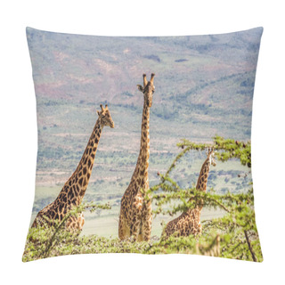 Personality  African Giraffes In The Grasslands Pillow Covers