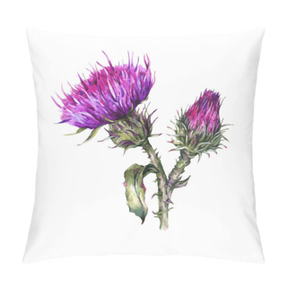 Personality  Botanical Watercolor Illustration Of Thistle. Vintage Wild Flowe Pillow Covers