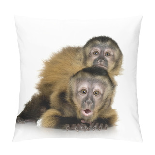 Personality  Two Baby Capuchins - Sapajou Apelle Pillow Covers