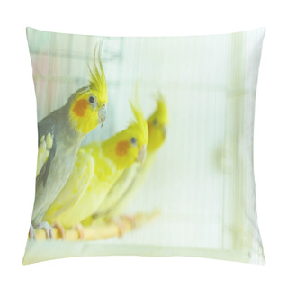 Personality  Group Of Parrot Corrals Sit And Swing In A Cage Pillow Covers