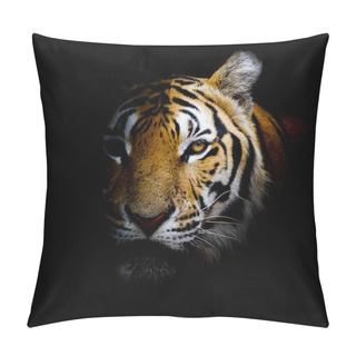 Personality  Tiger  Background Pillow Covers