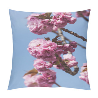 Personality  Pink Cherry Blossoms Pillow Covers