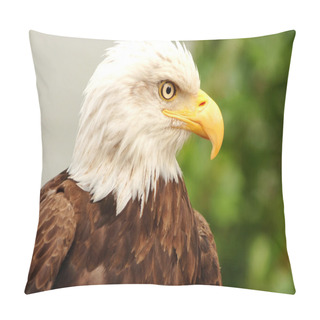 Personality  Portrait Of A Bald Eagle  Pillow Covers
