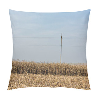 Personality  Golden Rye Field Near Power Line Against Blue Sky  Pillow Covers