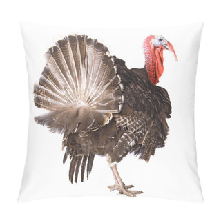 Personality  Turkey Pillow Covers