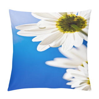 Personality  Daisies Pillow Covers