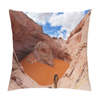 Personality  Unusual Natural Formation Cosmic Ashtray  Pillow Covers