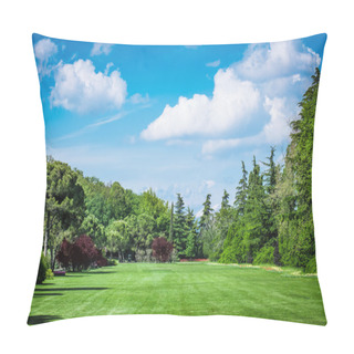 Personality  Golf Field Pillow Covers