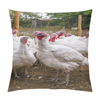 Personality  Breeding Turkeys On A Farm Pillow Covers
