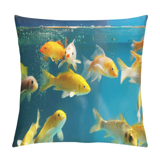 Personality  The Aquarium Pillow Covers