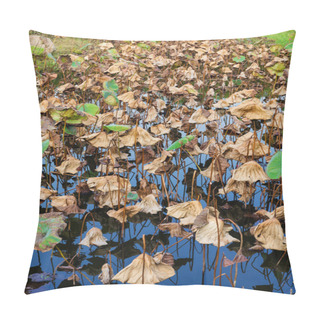 Personality  Lotus Leaves In Pond Pillow Covers