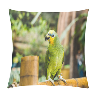 Personality  Green Afrotropical Parrot Perching On Bamboo Fence In Tropical Park Pillow Covers