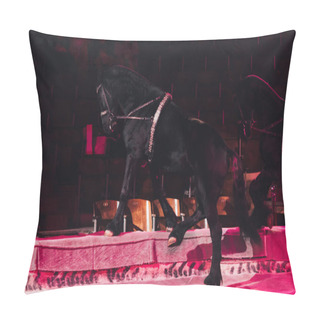 Personality  KYIV, UKRAINE - NOVEMBER 1, 2019: Black Horses Doing Trick On Circus Arena Pillow Covers