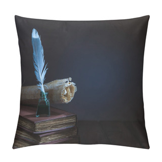 Personality  Quill Pen And Old Books Pillow Covers