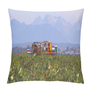 Personality  Berry Production In The Fraser Valley Pillow Covers
