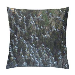 Personality  Sea Gulls Nest On The Cliffs Of Pacific Ocean. Pillow Covers