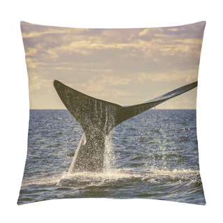 Personality  Sohutern Right Whale Tail, Endangered Species, Patagonia,Argenti Pillow Covers