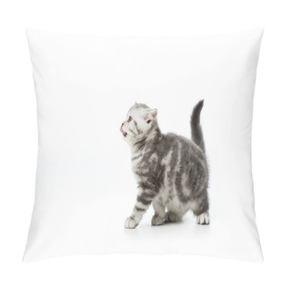 Personality  Cute Little Kitten With Tongue Out Looking Away Isolated On White Pillow Covers