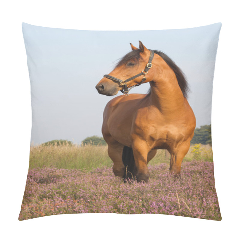 Personality  KWPN Horse On Heather Pillow Covers