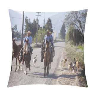 Personality  Huasos On His Horses. Chile Pillow Covers