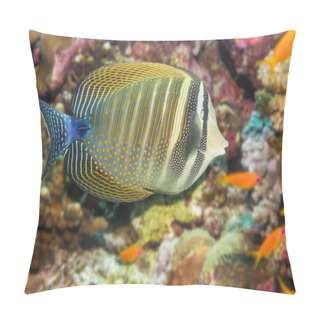 Personality  Vibrant Sailfin Tang Swimming Gracefully In The Clear Waters Of The Red Sea, Showcasing The Beauty Of Underwater Life. Pillow Covers