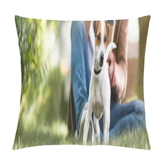 Personality  Cropped View Of Man Sitting On Lawn Near White Jack Russell Terrier Dog With Brown Spots On Head, Panoramic Shot Pillow Covers