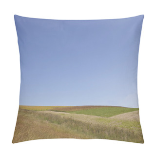 Personality  Blue Summer Sky And Grass Pillow Covers