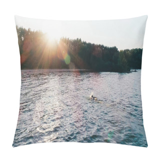 Personality  Scenic View Of River And Forest At Sunset  Pillow Covers
