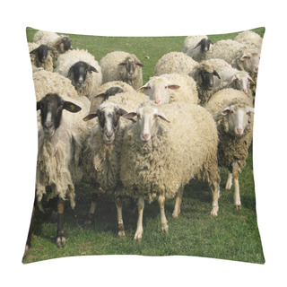 Personality  Sheep On Grassland Pillow Covers
