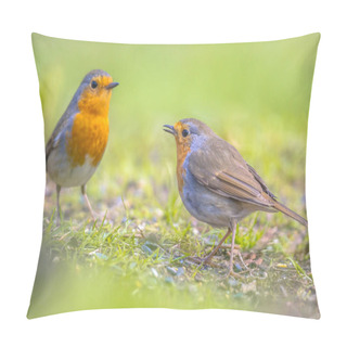Personality  Couple Robin In Grass Backyard Pillow Covers