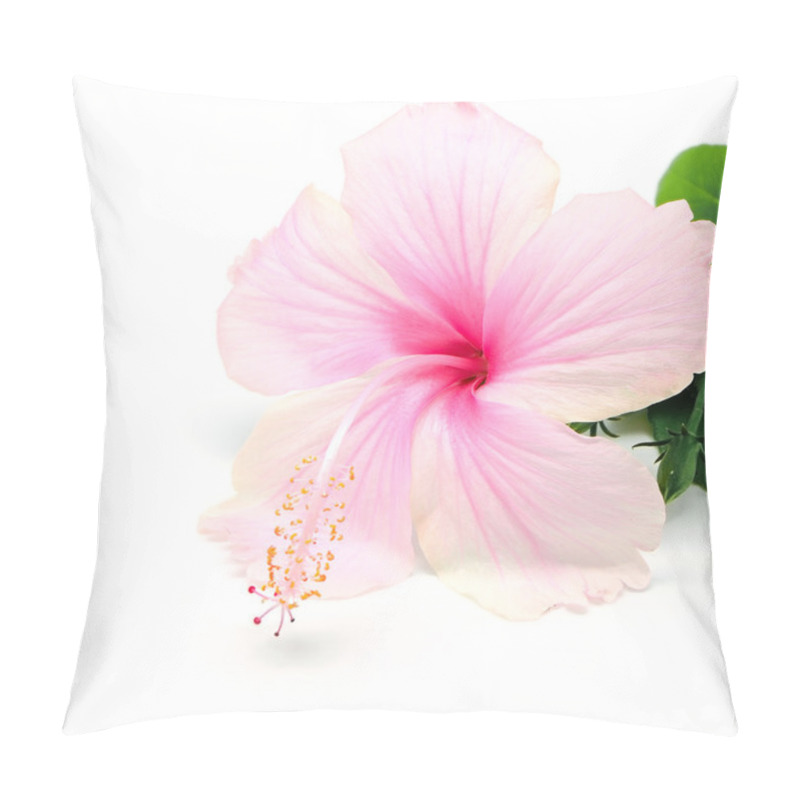 Personality  Hibiscus pillow covers