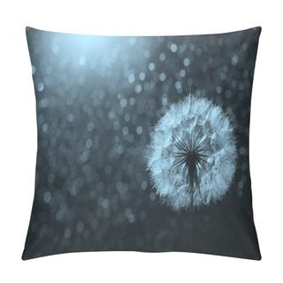 Personality   Dandelion Likes Wind Pillow Covers