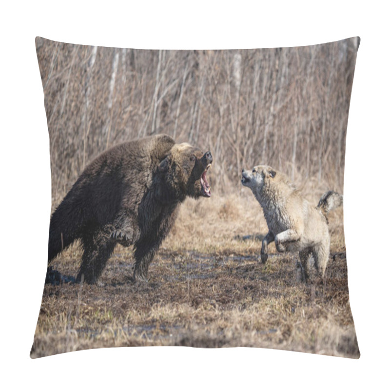 Personality   bear and dog . the dog attacks and bites the bear pillow covers